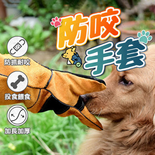 【🇹🇼雙層加厚牛皮製！現貨免運 快速出貨】防咬手套 寵物防咬手套 防抓咬手套 寵物手套 貓咪防抓手套 防咬 防抓 加厚