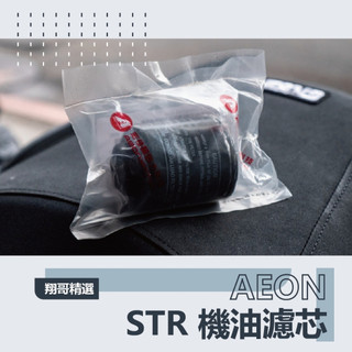 翔哥精選|| AEON STR 300 原廠 機油濾芯 空氣濾清器 機濾 空濾 宏佳騰