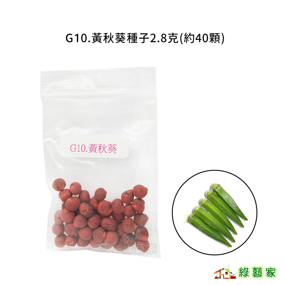 G10.黃秋葵種子2.8克(約40顆)(有藥劑處理)(品種：翠香)(翠香，F1.別名羊角豆、營養價值高【綠藝家】