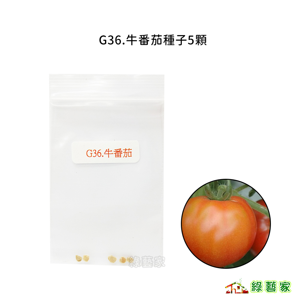 G36.牛番茄種子5顆(日本進口.果肉肥厚.果色鮮紅美麗.風味佳)果菜類種子【綠藝家】