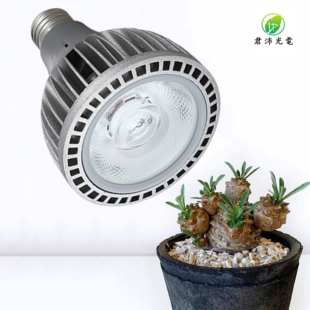 【君沛】LED植物燈 E27植物燈泡 20W聚光型 高亮全光譜 適合塊根植物 植物生長燈