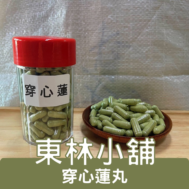 《東林小舖》穿心蓮膠囊 蒲公英膠囊 五爪金英膠囊 黃連膠囊 十大功勞膠囊 食品級膠囊。🔥下單送贈品 現貨快速出貨🔥