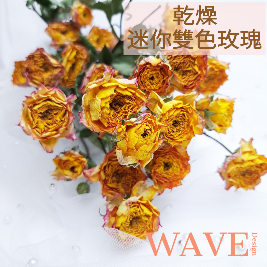 《WAVE Design 》雙色迷你玫瑰橘黃 乾燥花材 天然乾燥花 植物果實 花材 花藝材料 拍照道具 永生花 DIY