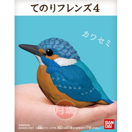 日本 BANDAI 正版盒玩 小鳥 掌上好朋友 4 第四彈 單售 09 翠鳥 全新未拆 鸚鵡 鳥