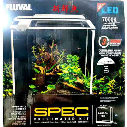 ~新鮮魚水族館~實體店面 加拿大 赫根 FLUVAL 高級 背部過濾 套缸 含過濾器 LED燈具 禮盒