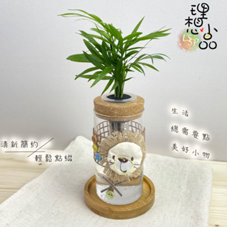 【理想小品】袖珍椰子【現貨】水耕盆栽 玻璃圓柱瓶 無土種植 簡單種植 觀葉植物 室內植物 玻璃飾品 創意花盆 盆栽