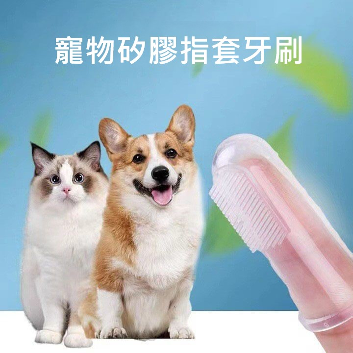 貓咪狗狗刷牙手指套牙刷牙膏套裝泰迪寵物大小型犬清潔用品寵物矽膠指套牙刷