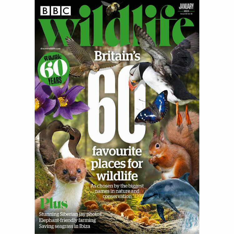 【英國版】《BBC Wildlife》2023年合集自然野生動物保護環境攝影讀物pdf雜誌（年訂閱）