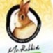 @加拿大Mr.Rabbit瑞比兔先生-瑞比兔牧草