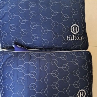 Hilton希爾頓】遠紅外線6D透氣獨立筒枕（石墨烯纖維，德國科技高彈力獨立筒