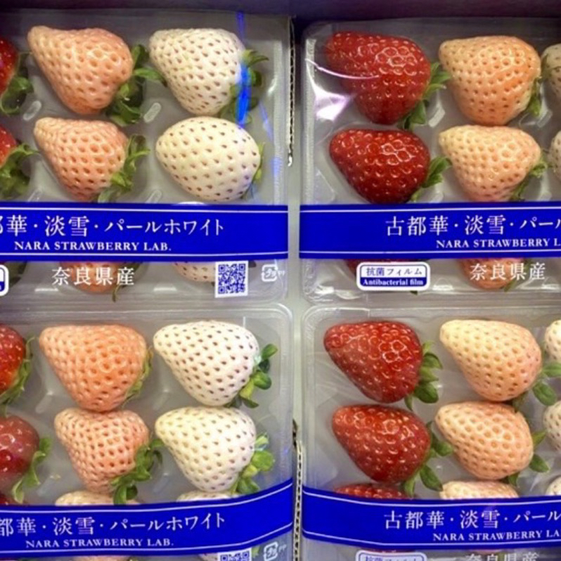 【 日本原裝三色草莓】產季結束只賣雙北 古都華紅 淡雪粉 真珠姬白 數量有限 每週二四五凌晨飛機送貨抵台3月底產季結束