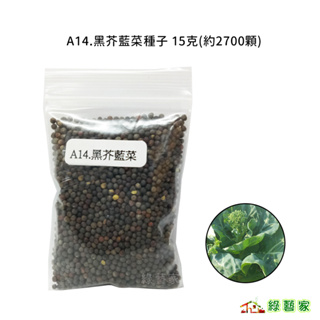 A14.黑芥藍菜種子15克(約2700顆)(大心芥藍.可採收葉片.芥藍菜花.梗等粗壯後採收)葉菜類種子【綠藝家】