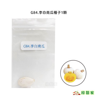G84.李白南瓜種子1顆(李白)(植株生育強健旺盛.果實厚.扁球型.果皮白色.果重約3公斤左右)果菜類種子【綠藝家】