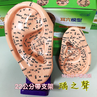 現貨電子發票/16cm多穴位耳穴模型/22cm帶支架耳朵模型/免費送耳朵穴位圖/大耳朵字跡清晰/耳貼道具
