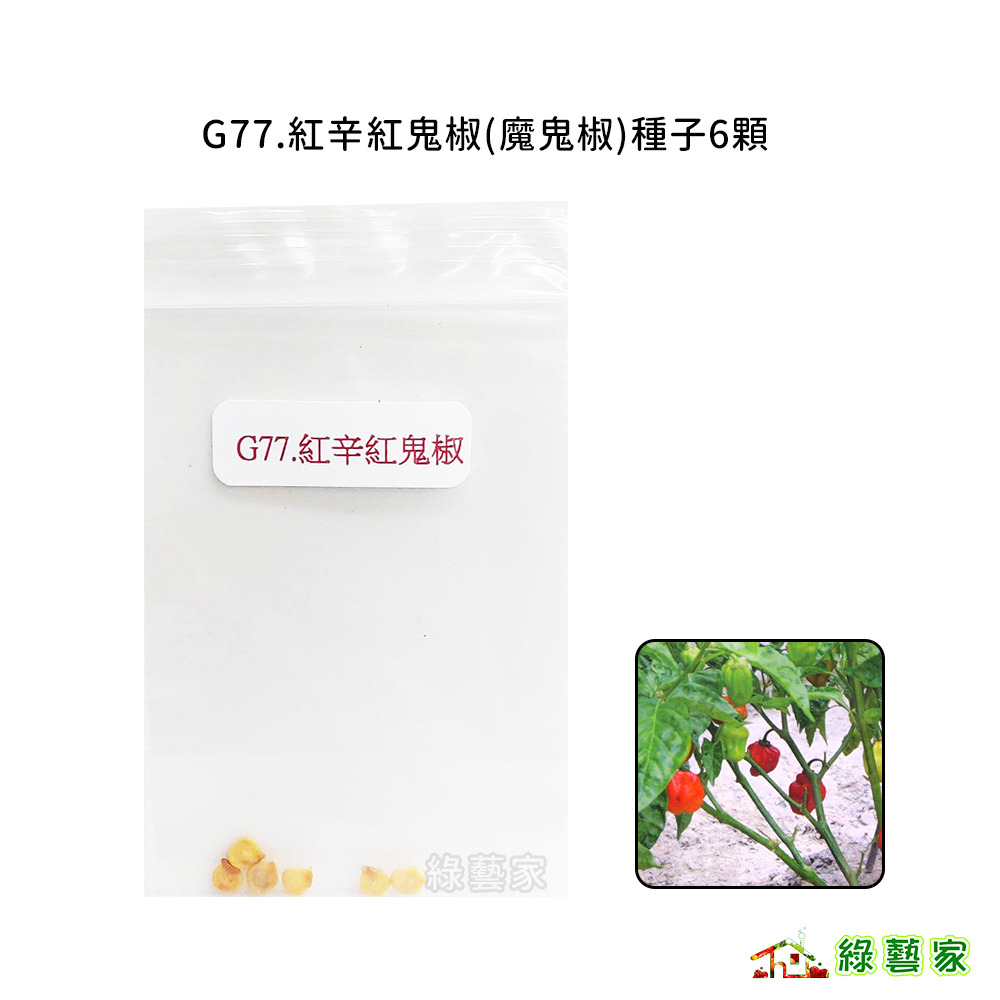 G77.紅辛紅鬼椒(魔鬼椒)種子6顆果菜類種子【綠藝家】