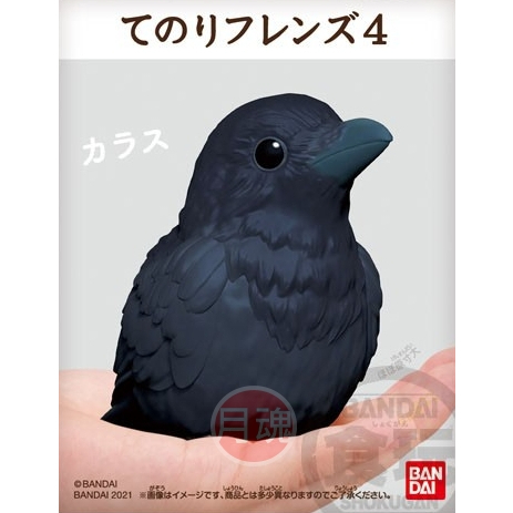 日本 BANDAI 正版盒玩 小鳥 掌上好朋友 4 第四彈 單售 11 烏鴉 全新未拆 鸚鵡 鳥