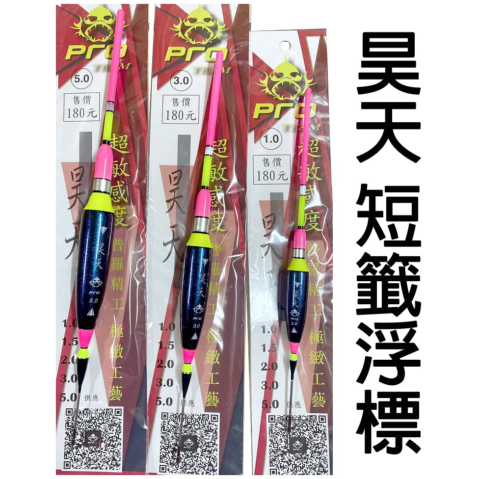 源豐釣具 PRO TEAM 普羅精工 昊天 浮標 22CM～30CM 短標 短籤 浮標 籤仔 磯釣 船磯