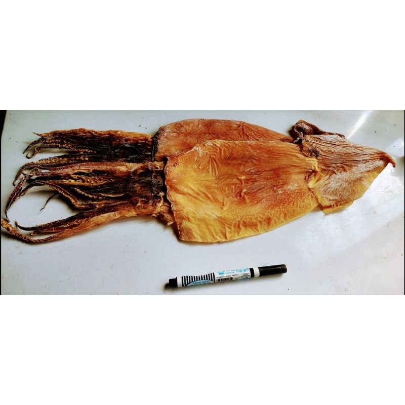 巨大的阿根廷魷魚乾（150-170克 10隻送1 烤魷魚 乾魷魚 尤魚乾（今年最新鮮入港）魷魚乾 一夜乾