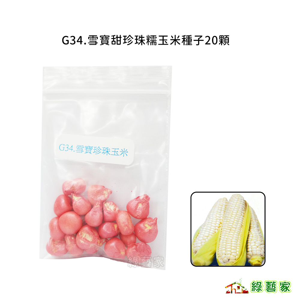 G34.雪寶甜珍珠糯玉米種子20顆(有藥劑處理)(耐熱、耐濕、耐寒、好照顧，包穗大且產量高.蔬菜種子)【綠藝家】