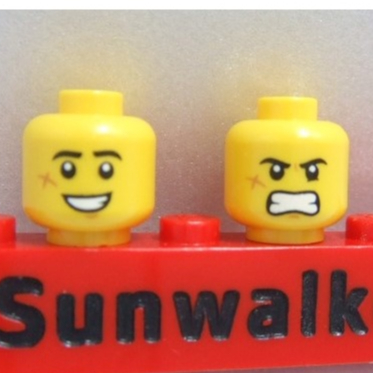 【積木2010】#554 樂高 LEGO 笑臉 露齒 憤怒 咬牙 傷疤 雙面 人頭 / 人偶頭 3626cpb257