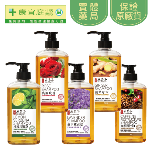 【古寶無患子】奧圖精油洗髮精華露450g 無矽靈洗髮精｜檸檬馬鞭草 玫瑰 薰衣草 薑萃 咖啡因《康宜庭藥局》