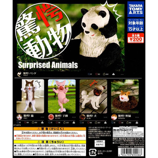 T-ARTS 驚嚇動物 (全新未拆) 狗