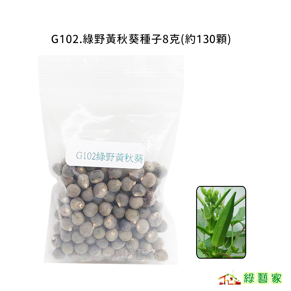 G102.綠野黃秋葵種子8克(約130顆)(節間中等，結果早，產量高，果五角形，果色濃綠。果長6~10公分【綠藝家】