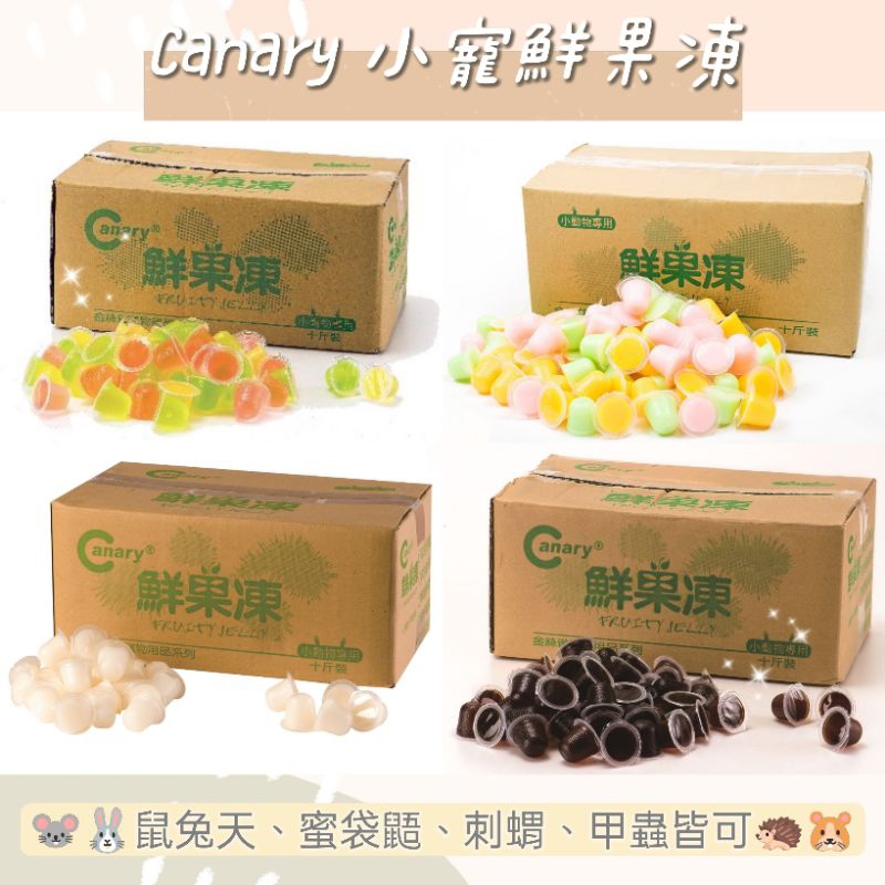 ♥️寵愛食嗑♥️Canary 小動物果凍 甲蟲果凍 單顆販賣 水果果凍 優格果凍 高蛋白乳酸 黑糖蜂蜜 乳酸菌 樹液添加