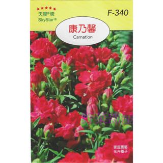 【萌田種子~】Y26 康乃馨Carnation~穗耕種苗~天星牌種子~