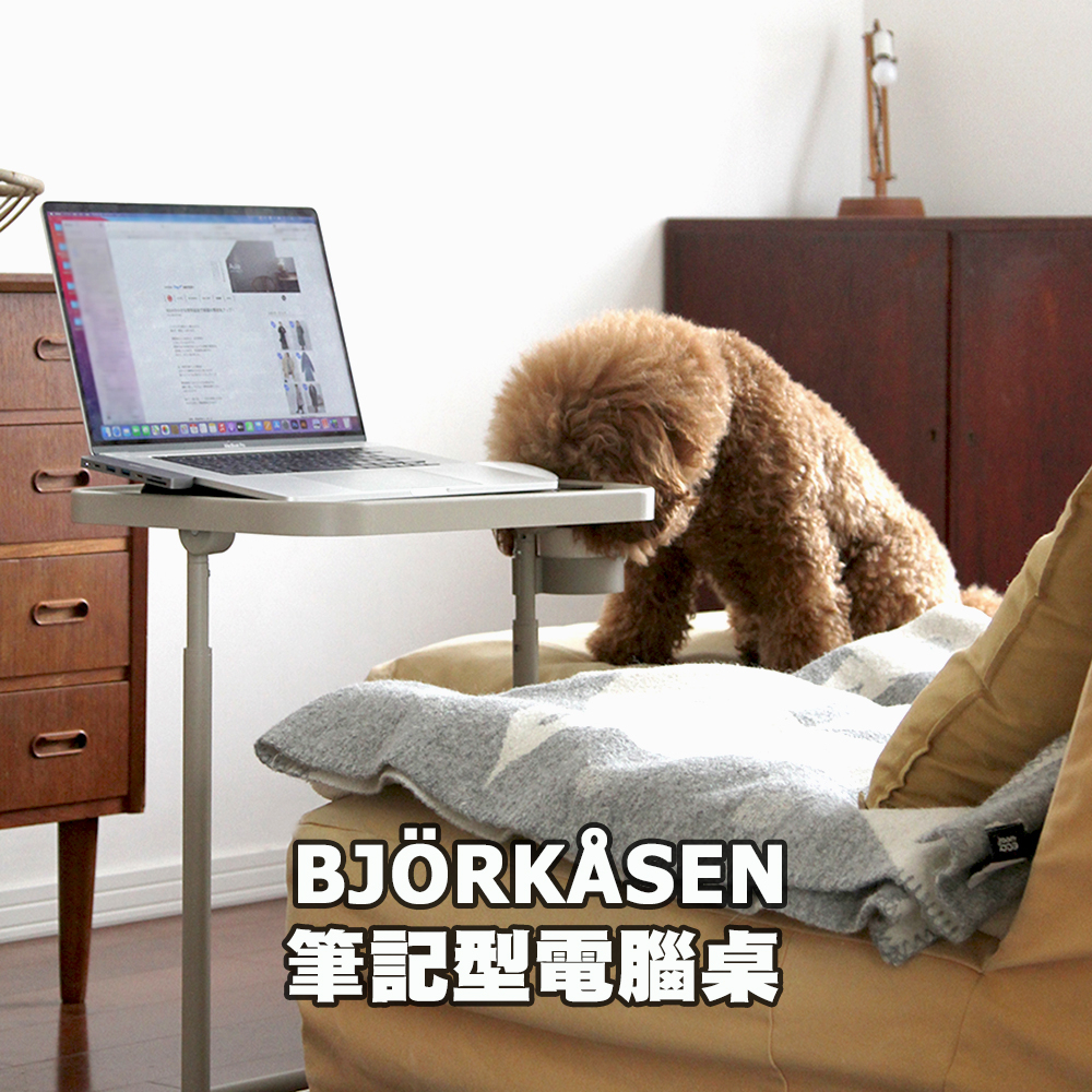 [ IKEA代購 ] BJORKASEN / BJÖRKÅSEN筆記型電腦桌