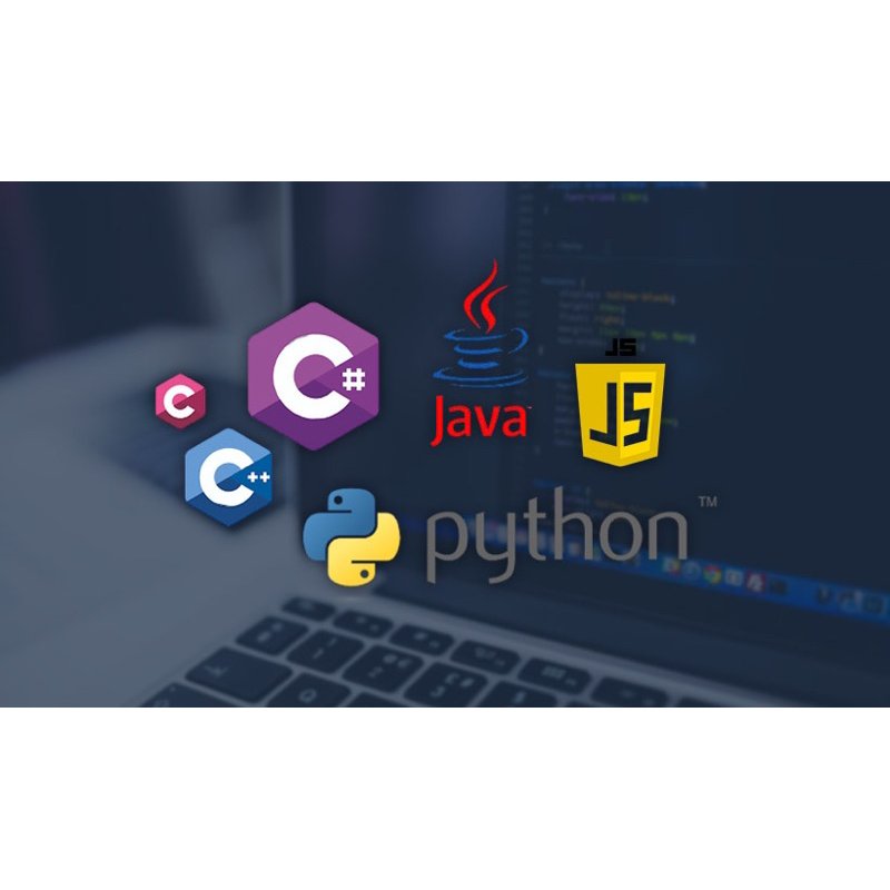 頂大資工碩士，代寫、代考程式相關問題，python，java，c，c++， javascript等，品質保證，價格優惠。