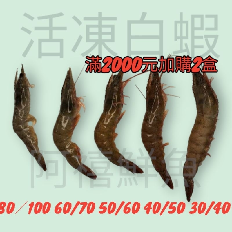 板橋阿禧鮮魚｜白蝦｜訂單買滿兩千才可加購｜限量加購兩盒｜海蝦 ｜草蝦｜白刺蝦｜手臂蝦｜泰國蝦｜ 蝦