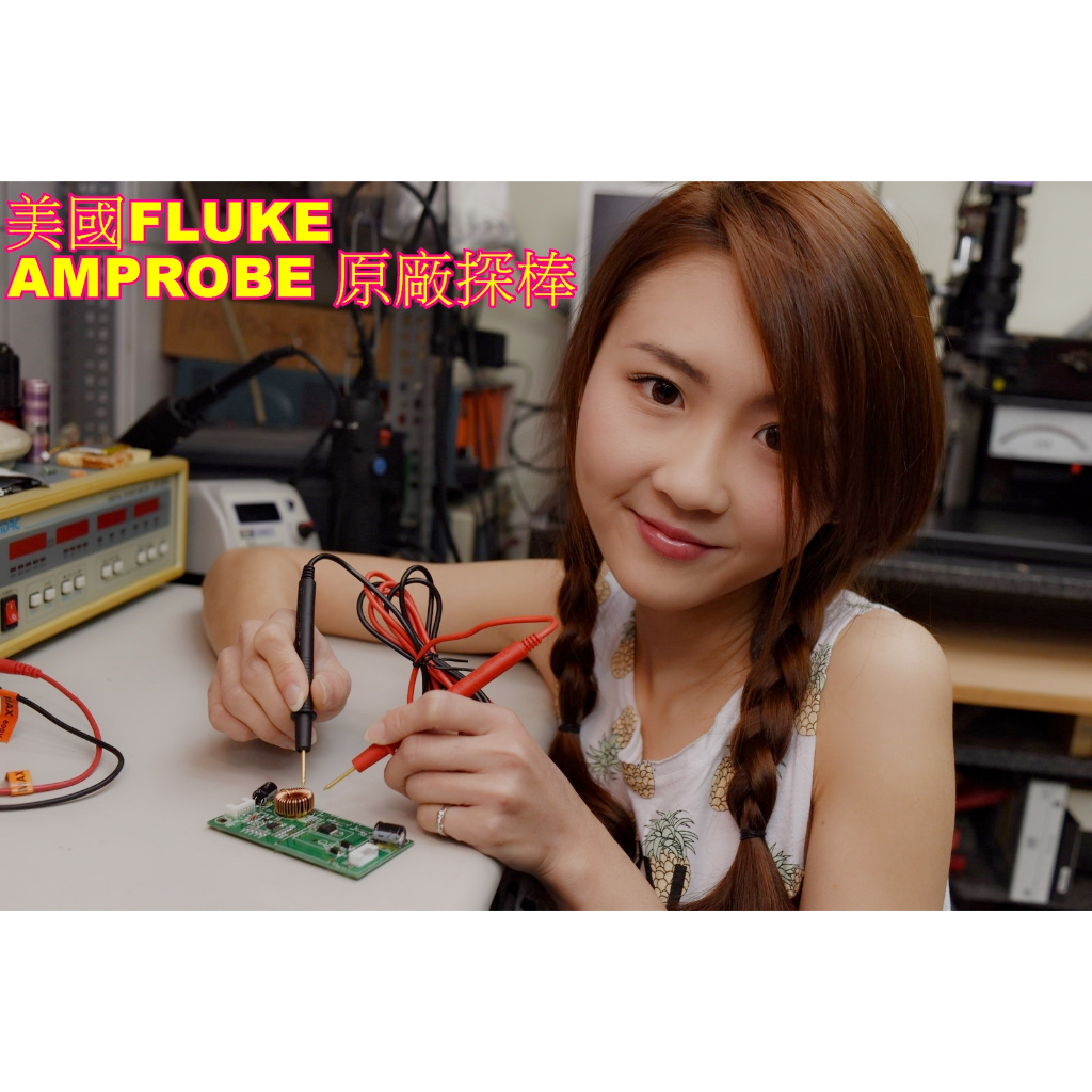 國外代購品 美國 FLUKE 子公司 AMPROBE 數位電表測試探棒 超軟導線耐熱防凍