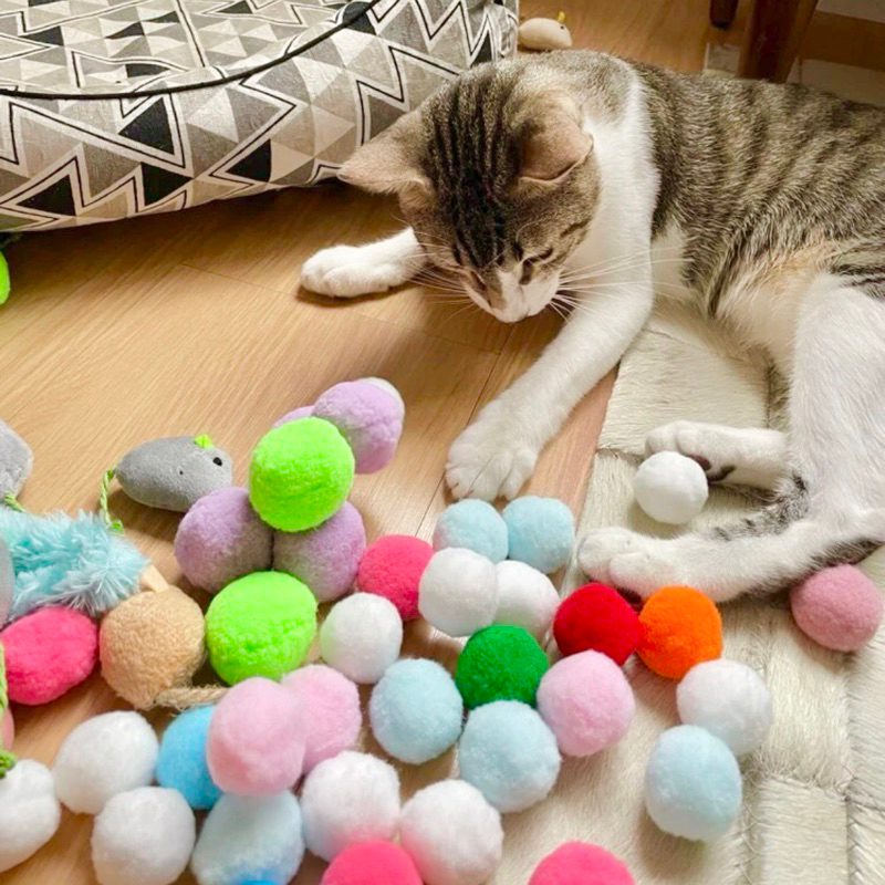 現貨➰ 糖果色🍬球球 寵物玩具 貓玩具 狗玩具 毛絨球 寵物用品 逗貓 寵物球
