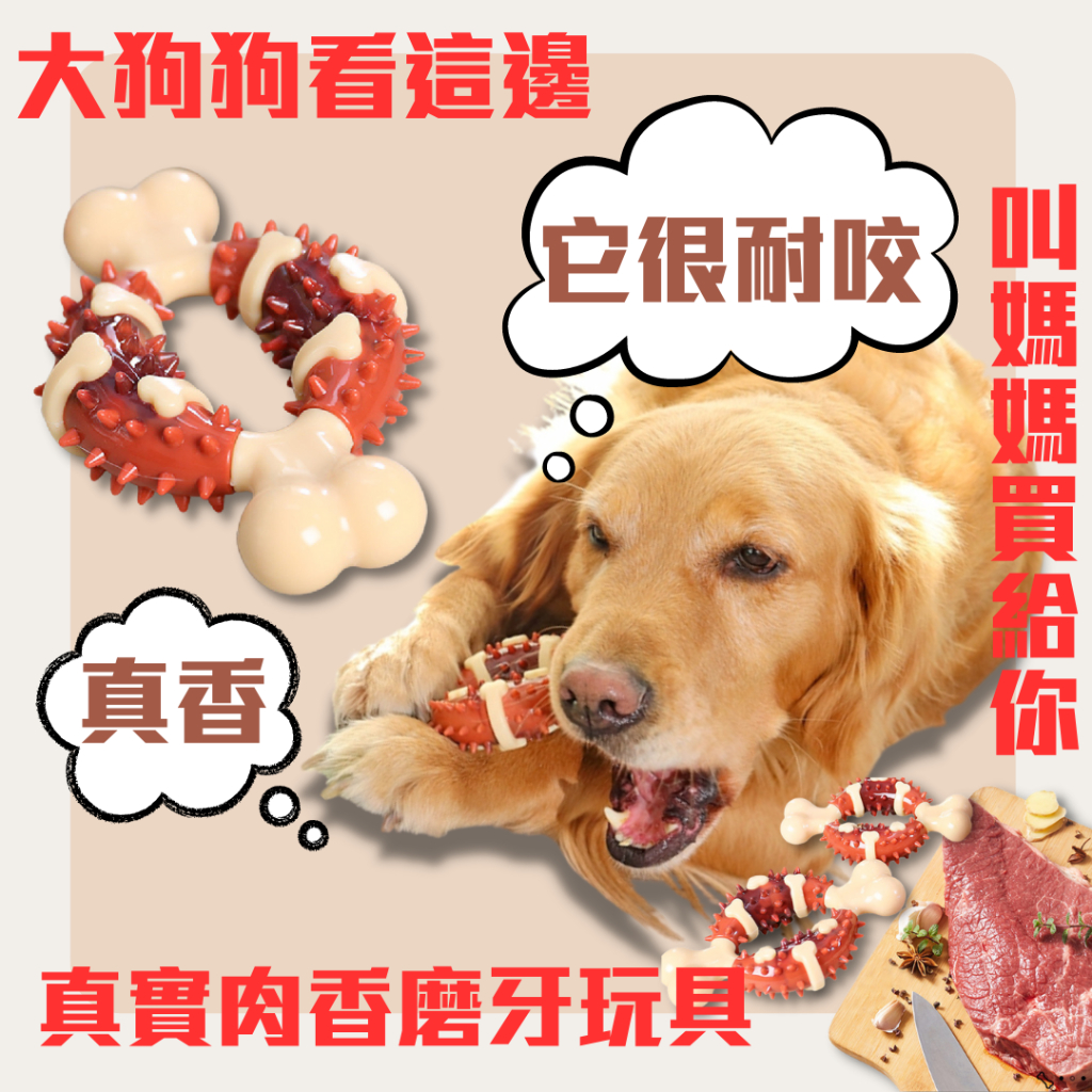 狗狗肉香磨牙玩具🤤潔牙骨 潔牙棒 磨牙 狗狗磨牙玩具 健綠潔牙骨 狗狗潔牙 史迪克 耐咬史迪克 寵物潔牙 狗狗 狗 寵物