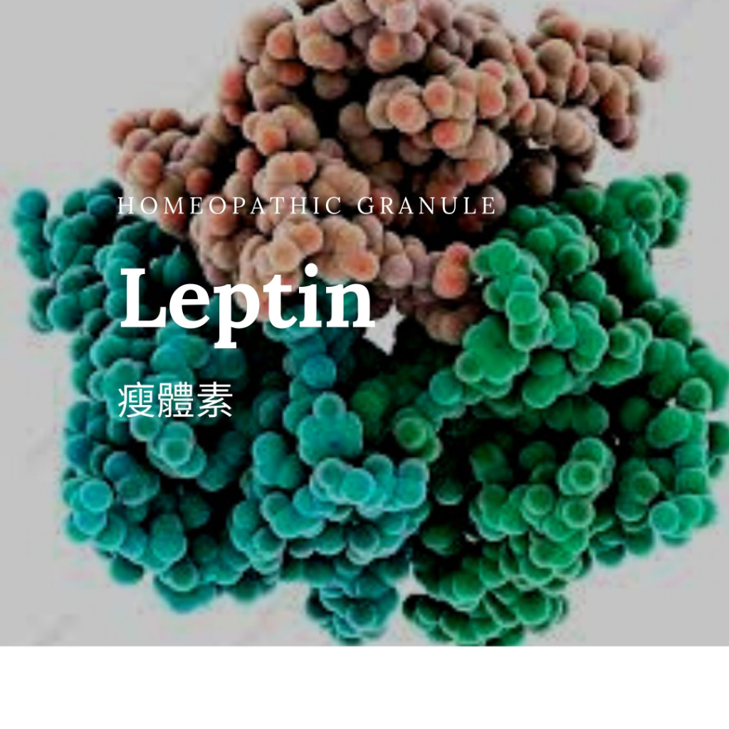 順勢糖球【Leptin】Homeopathic Granule（協助平衡Leptin的能量流轉）