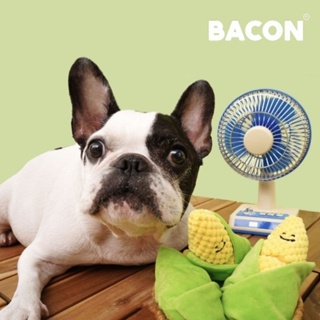 【你和我的狗】 韓國正版 Bacon 玉蜀黍好朋友 寵物玩具【現貨】狗狗玩具 貓咪玩具 耐咬玩具 小狗玩具 韓國玩具