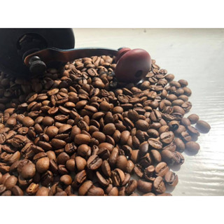 🇹🇼臺灣 有機咖啡豆☕ 有機栽培 原生阿拉比卡 養生咖啡 [洪山農園]