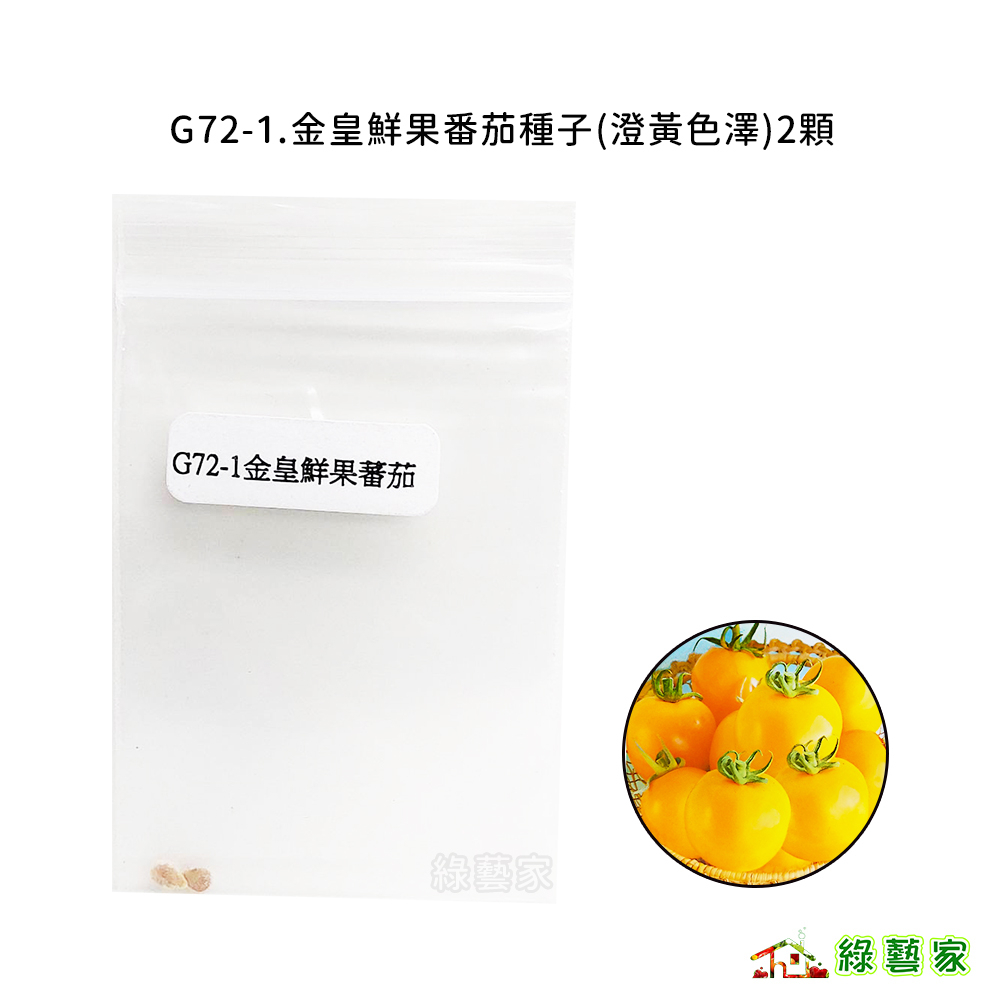 G72-1.金皇鮮果番茄種子(澄黃色澤)2顆 // 黃番茄，果重約150公克，3-4果室，果色橙黃，肉質細綿【綠藝家】