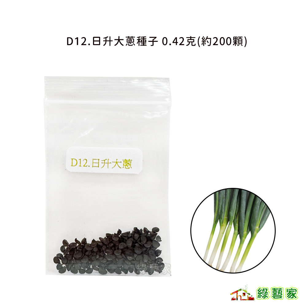 D12.日升大蔥種子0.42克(約200顆)(F1，耐熱性強，葉直立，濃綠色，蔥白有光澤，葉鞘頸部緊實)蔥類【綠藝家】