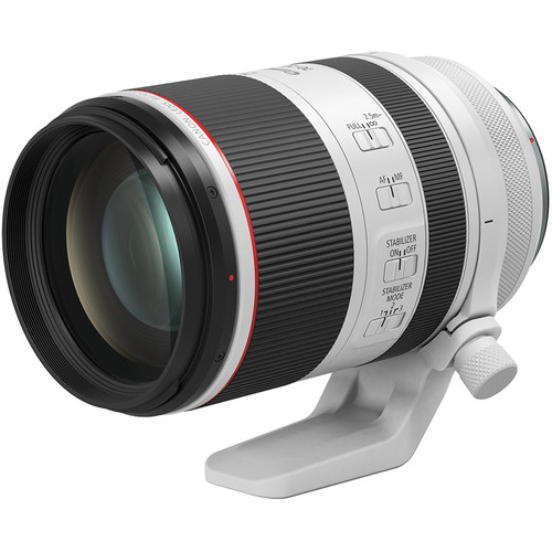 Canon 佳能 RF 70-200 F2.8 L 大三元 望遠鏡「平行輸入/水貨」