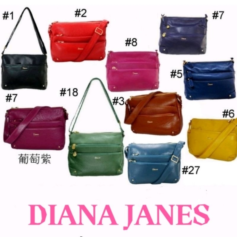 🎀【五洲】DIANA JANES真皮皮包🎒純牛皮 多色🚚快速出貨【🎀限量預購】