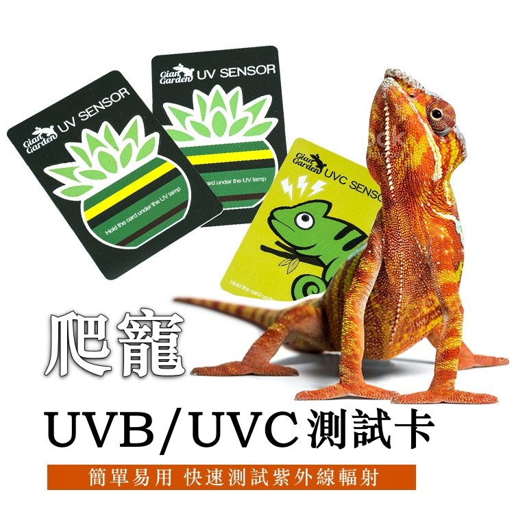UV紫外線檢測卡 UV SENSOR UVB測試卡 體積小巧收納方便 10秒快速檢測UVB含量 可使用500次