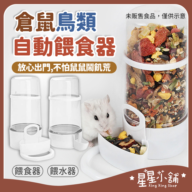 倉鼠餵食器 自動餵食器 小寵自動餵食器 小寵飼料碗 倉鼠/豚鼠/刺蝟/松鼠/鳥類餵食器 餵水器 星星小舖