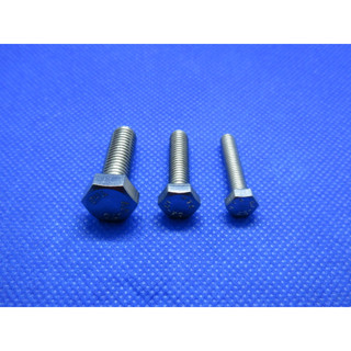 （朝健螺絲）白鐵外六角M14、M16 、M20臺灣製造 不鏽鋼304