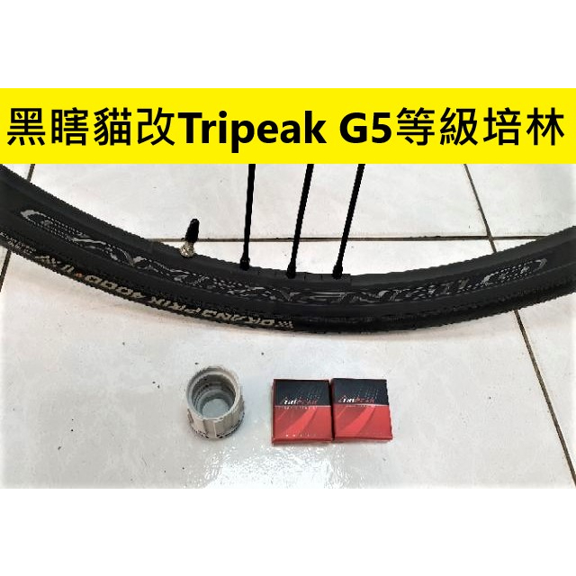 黑瞎貓改Tripeak G5等級培林 Campagnolo SHAMAL MILLE黑瞎貓鋁合金輪組改棘輪座2顆陶瓷培林