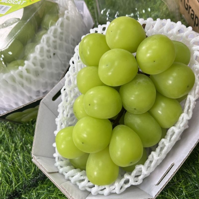 韓國進口999K-grape香印麝香葡萄［1房］重量：600g
