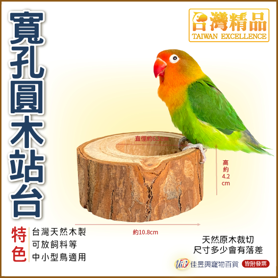 寬孔原木站台│台灣精品-飼育極限│寵物鳥、鸚鵡用│站台│日用品│佳昱興寵物百貨