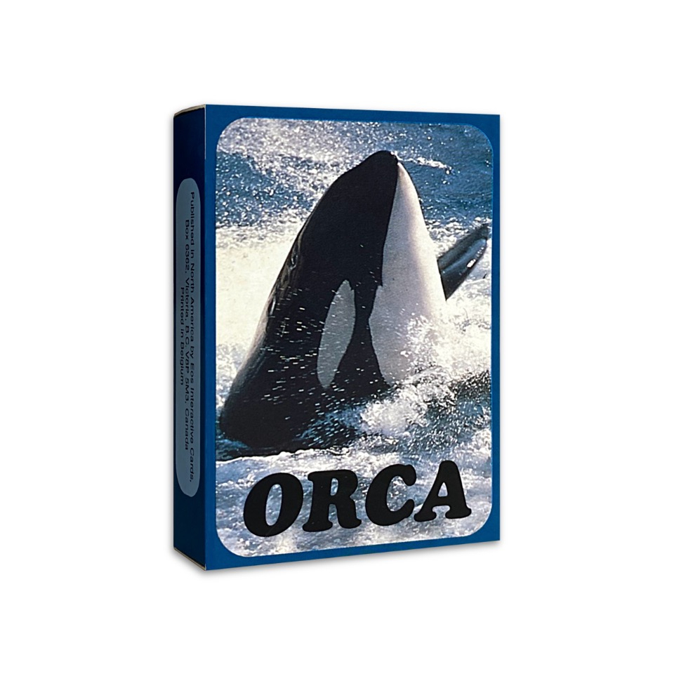 B195◈光之海◈ 現貨 正版 OH Cards-虎鯨卡 ORCA Cards 55張 關於虎鯨生活的圖片卡