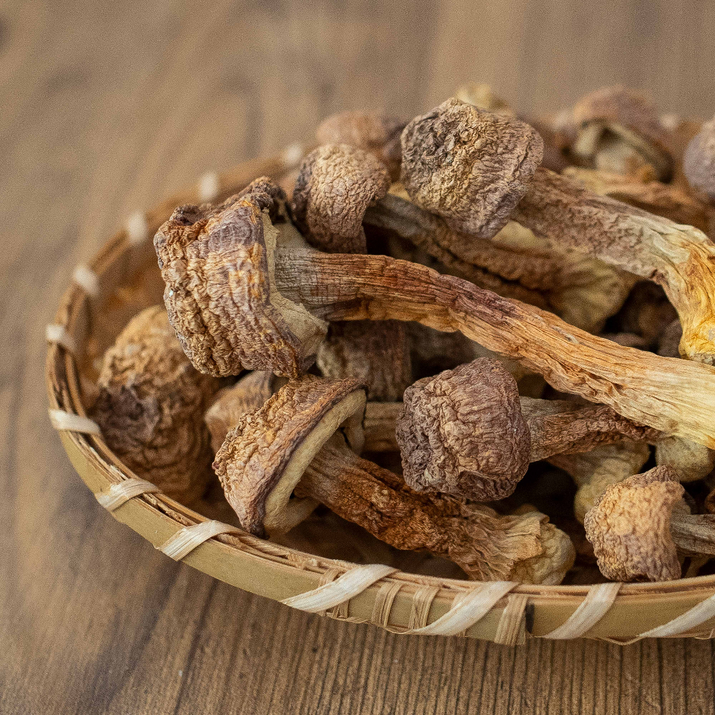 檢驗合格巴西蘑菇🍄美味可口 獨特的蘑菇香氣四溢 適合煮雞湯、蘑菇濃湯等！